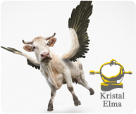 SVStudios Reklam Jansı Ödül